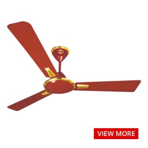 Ceiling Fans